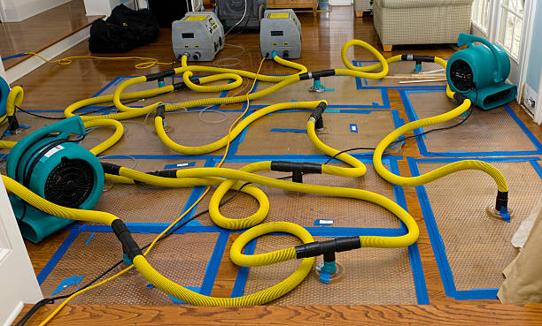 Professional Sewage Cleanup technician working in Sharon, PA